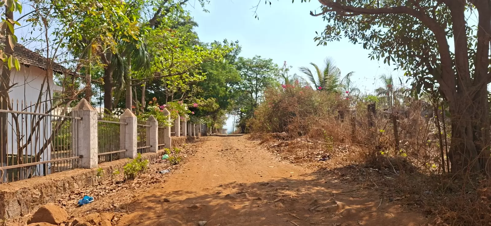 66 Gunta farm house agriculter land availabel for sell in karjat anjap gaon - Interior/Gallery View 2