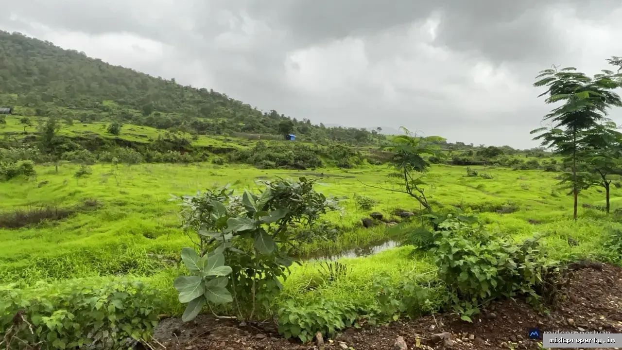 58 acres agriculture and NA land Available for Sale in Panvel - Interior/Gallery View 2