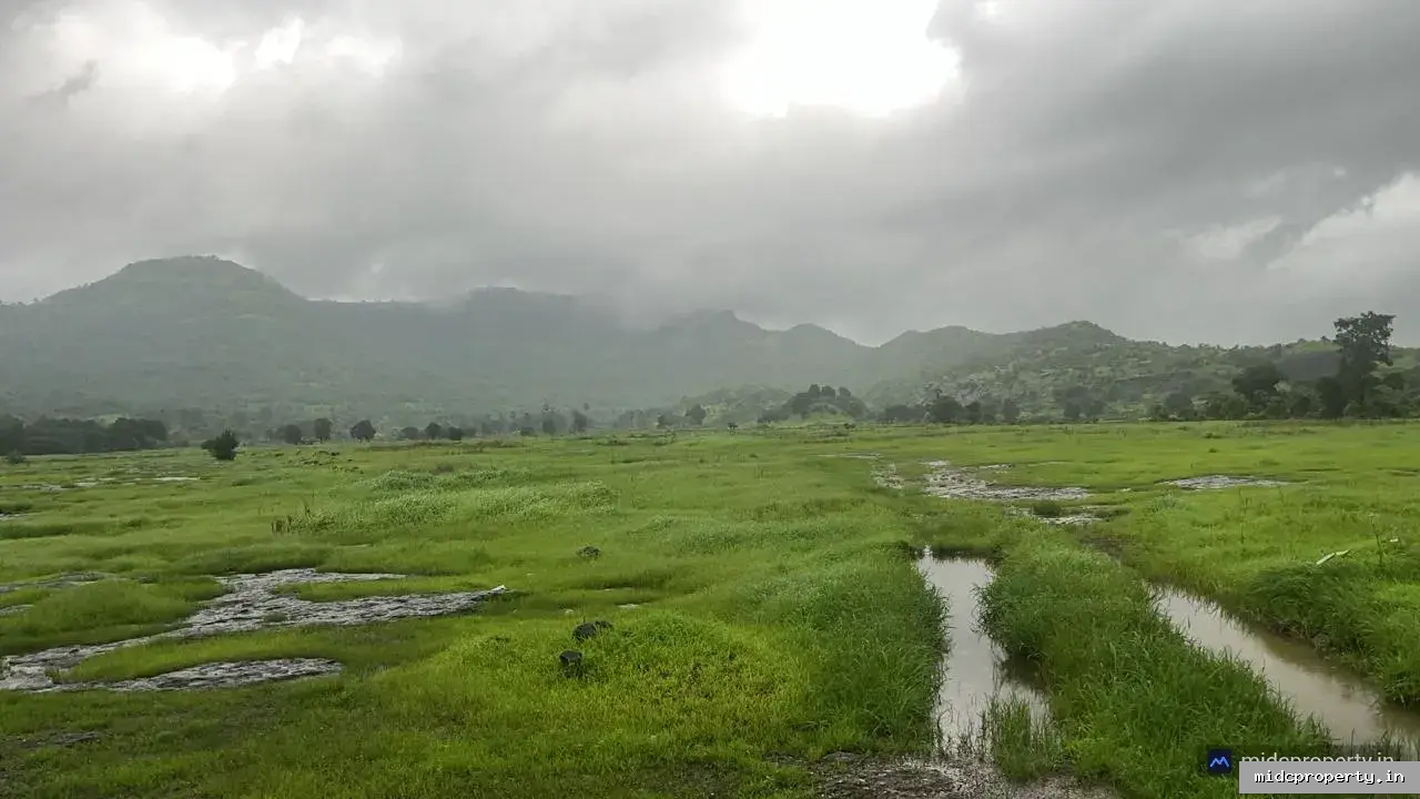 11 Acres Agriculture land available for sale in Panvel Chwok Raigad District - Interior/Gallery View 2